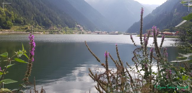Uzungöl